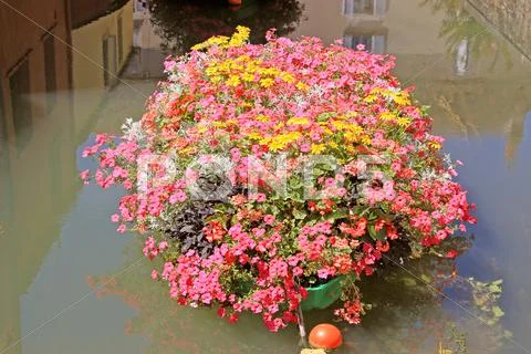 Boat with flowers Stock Photos