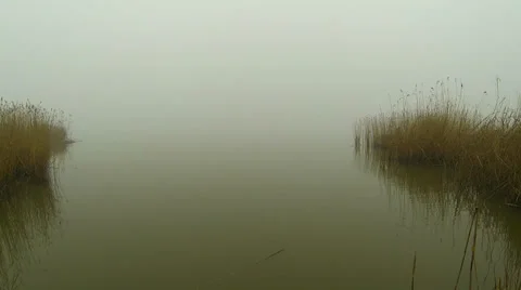 Boat in the fog Video stock 35921212
