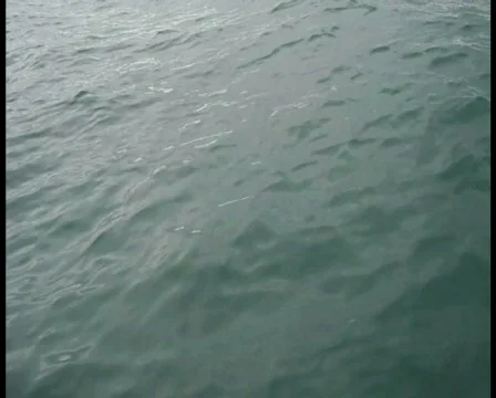 On a Boat 库存影片 337696