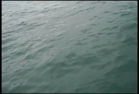 On a Boat 库存影片 338105