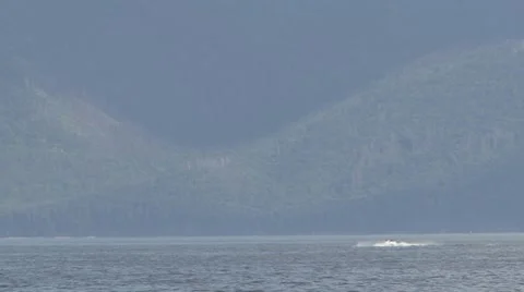 Boat Stock Footage 8946684