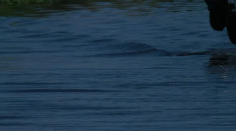 Boat Stock Footage 12714168