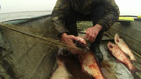 In the boat Stock Footage 35933501