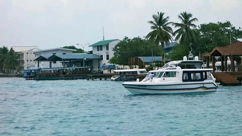 Boat Vídeo Stock 74792873