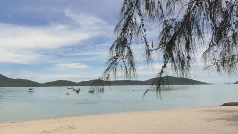 Boat Stock Footage 112602454