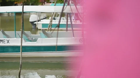 Boat Stock Footage 128159401