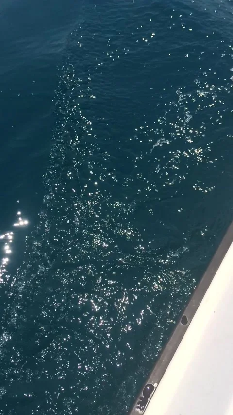 On the boat 스톡 동영상 161784860