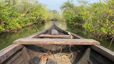 Boat in forest river Stock Footage 234696013
