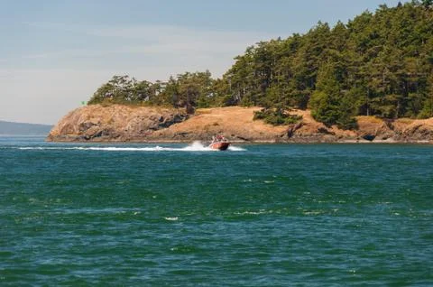 Boat in front of cedar forest Stock Photos