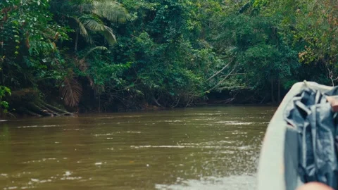 A boat glides through a calm river surrounded by dense Amazon rainforest in Video stock 345156674
