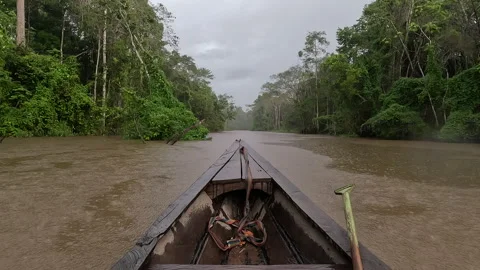 Boat going down a river in the Amazon Ra... | Stock Video | Pond5