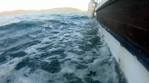 Boat Going On The Sea Stock Footage 119496509