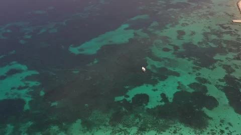 Boat going on the sea Stock Footage 292834834