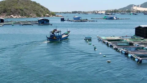 Boat going through fish farm in south east asia Video stock 156359195