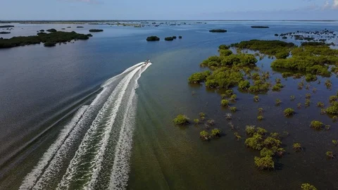 Boat going through a mangrove 4k Stock Footage 102494402