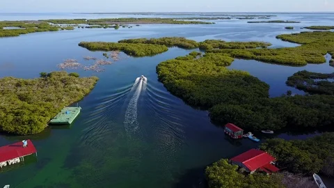 Boat going through a mangrove 4k 2 Stock Footage 102494962
