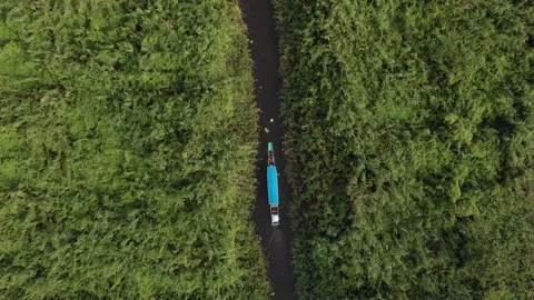 Boat Going Through A Narrow Canal On Wetland. Top Down Video stock 169096815