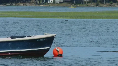 Boat in Harbor 스톡 동영상 65704862