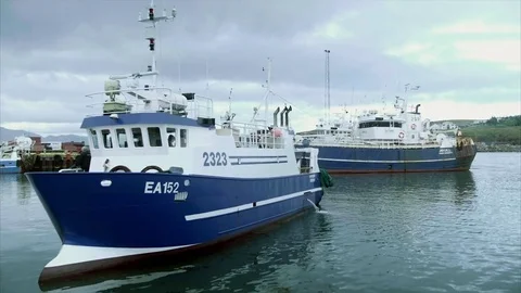 Boat in harbor Stock-Footage 71147843