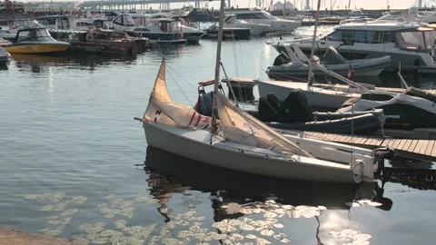 Boat in the harbor Stock Footage 133836076