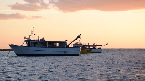 Boat in the harbour Stock-Footage 154469561