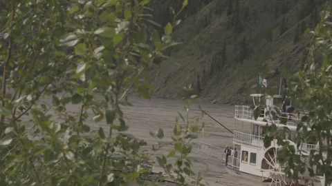 Boat heading down a river filmed through plants. Stock Footage 69208272