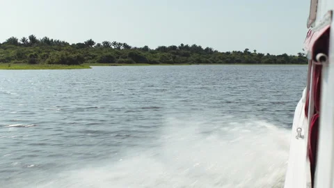 Boat at high speed amazon river Vídeo Stock 164045787