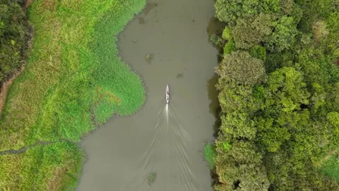 Boat on an Indonesian river Stock-Footage 316654296