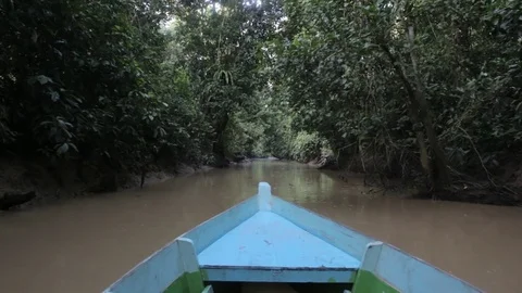 Boat in the jungle Stock-Footage 81983438