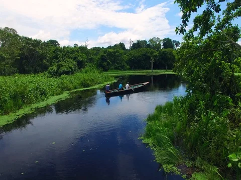 Boat in the jungle of Peru with drone Stock Footage 77380108