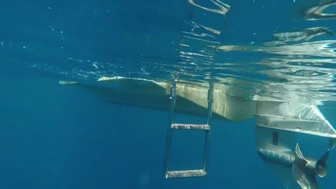 Boat with ladder and propeller - viewed from underwater Video stock 79071901