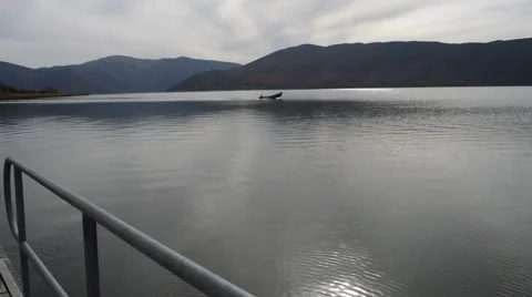 Boat in a lake Video stock 44611868
