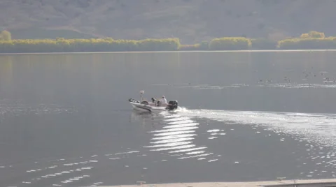 Boat on a lake Stock-Footage 50776622