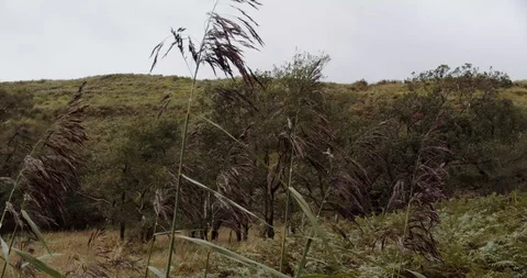 Boat on lake Stock Footage 119516643