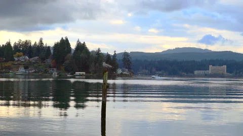 Boat on the lake Stock Footage 144011655