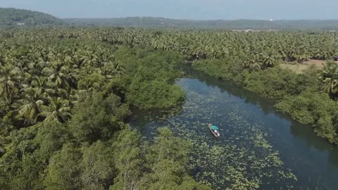 Boat in the lake or river, river surrounded by green trees, view from sky Stock Footage 287750225