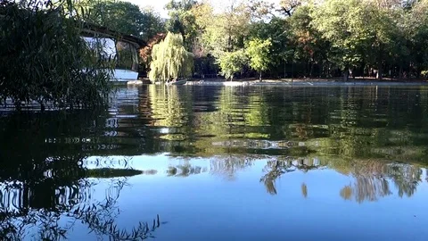 Boat on lake park Stock Footage 101967098