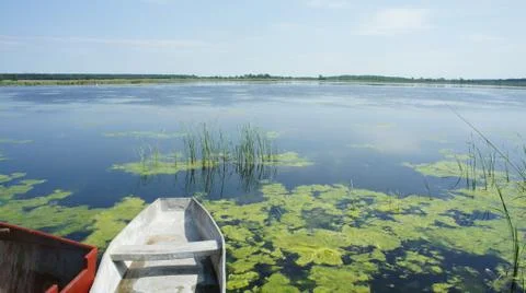 Boat in Lake Stock-Fotos