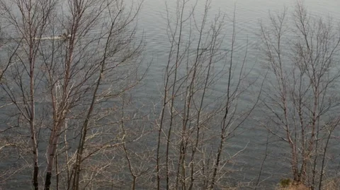 Boat in Lake Through Trees 스톡 동영상 66365724