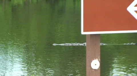 Boat Launch Video stock 768778