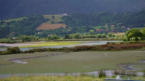 Boat on lush green field Stock Footage 275776007