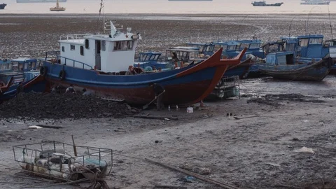 Boat maintenance on a beach at dawn Stock Footage 111596169