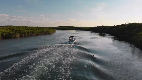 Boat in Mangroves Stock Footage 242725838