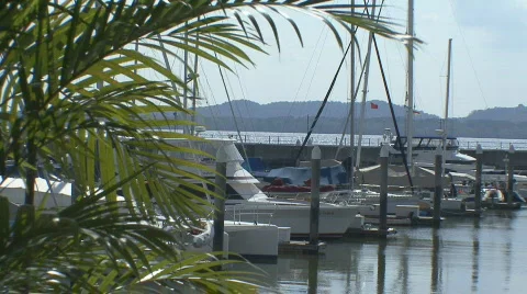 Boat Marina Video stock 408883