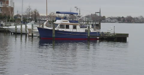Boat in Marina Video stock 44616548