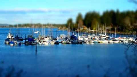 Boat marina tilt shift time lapse Stock Footage 85614390