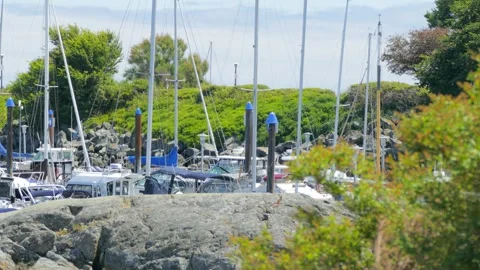 Boat masts in marina harbor protected by rocky breakwater Stock Footage 340254684