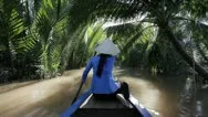 Boat On The Mekong Delta. Ho Chi Minh. Vietnam. Stock Footage