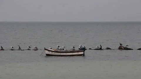 Boat moored on the coast Stock Footage 42724232
