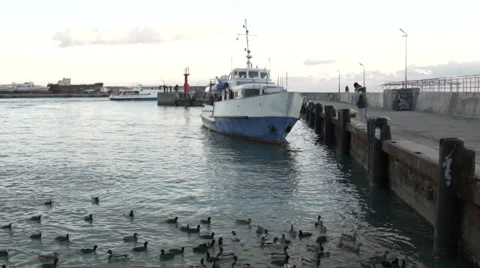 The boat is moored in the harbor 動画素材 59775616